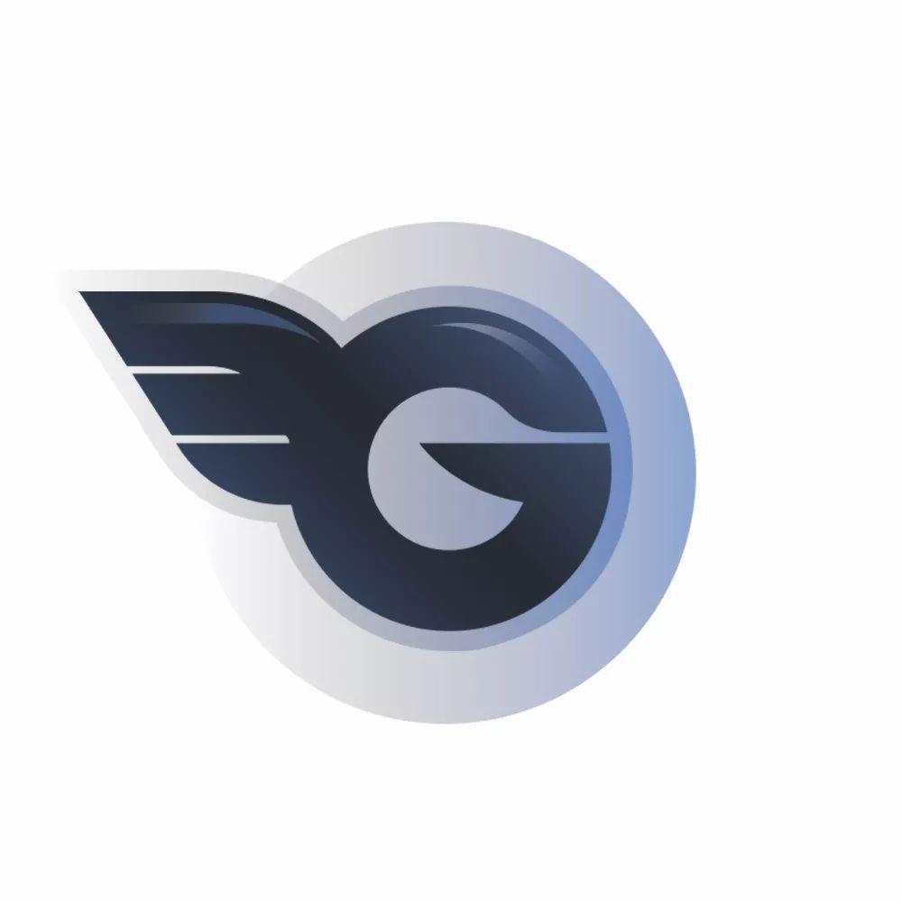 Logo firmy z literą 'G' w ciemnym odcieniu niebieskiego, otoczoną jasnoszarą obwódką z gradientem, z stylizowanym skrzydłem po lewej stronie.