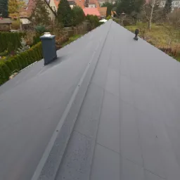 Szary, metalowy dach dwuspadowy z kominem i widocznymi kroplami deszczu, na tle zabudowy jednorodzinnej i zieleni.