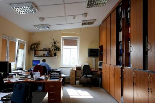 Wnętrze biura z pracownikiem siedzącym przy biurku, widoczne szafy biurowe, okno z żaluzjami i półka z dekoracjami, w tym figurką słonia.