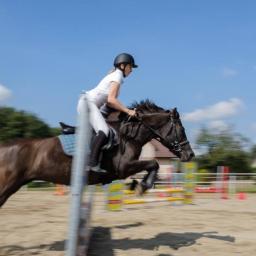Stadniny i jazda konna Skrzyszów 3
