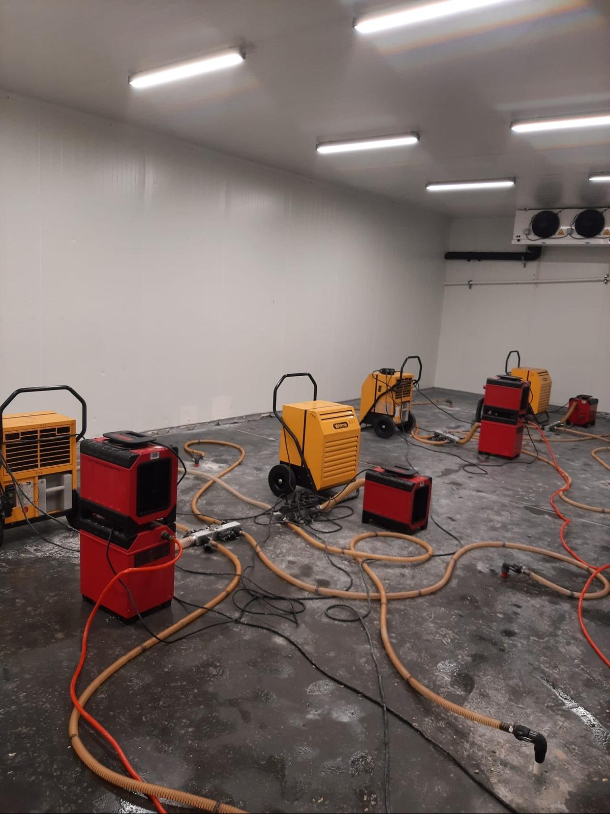 Profesjonalne urządzenia w kolorze żółtym i czerwonym, połączone wężami, pracują w pomieszczeniu z klimatyzacją, usuwając wilgoć z posadzki.