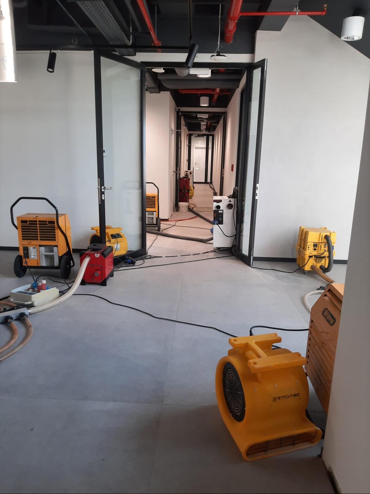 Wnętrze biurowe z rozstawionymi żółtymi i pomarańczowymi urządzeniami do usuwania wilgoci, widoczne kable i węże, otwarte drzwi do korytarza.