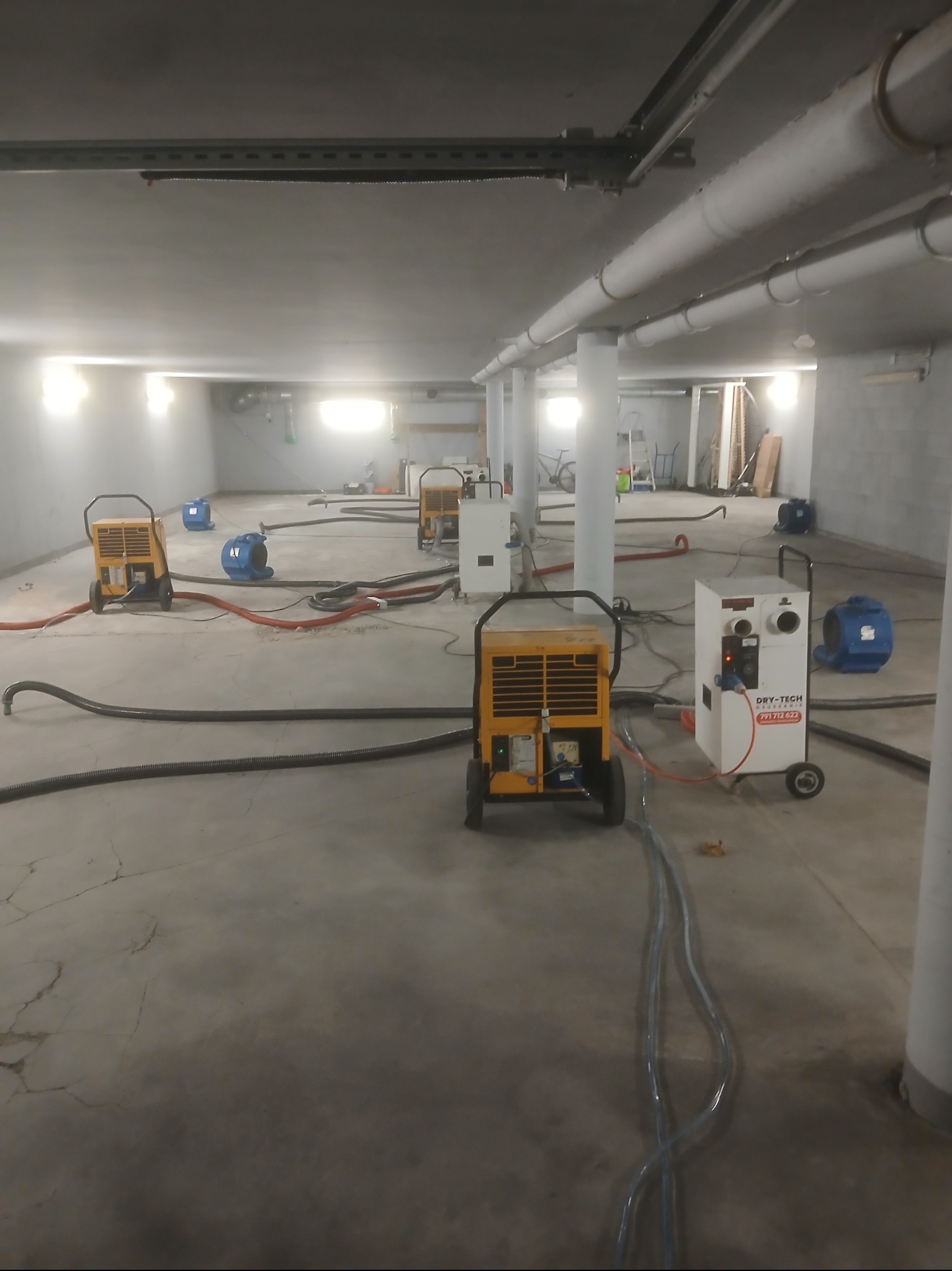 Sprzęt do usuwania wilgoci w piwnicy: żółte i białe osuszacze, wentylatory, węże. Widoczne rury pod sufitem i kolumny. Posadzka z widocznymi pęknięciami.