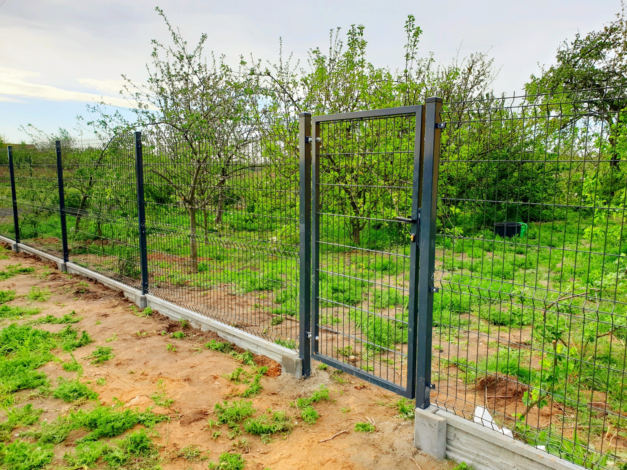 Nowo zamontowane ogrodzenie panelowe z furtką, osadzone na betonowej podmurówce, widoczne drzewa owocowe w tle.