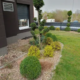 Ogród przydomowy z ozdobnymi krzewami i drzewem formowanym w stylu bonsai, wysypany kamieniami, z widocznym fragmentem elewacji budynku i trawnikiem.