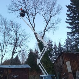 Pielęgnacja ogrodów Walim 2