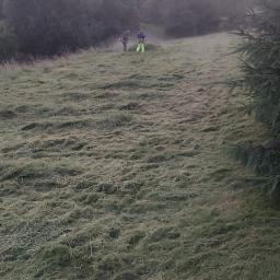 USŁUGI OGRODNICZE DAWID BANACH - Dwóch pracowników z kosami spalinowymi na zboczu po skoszeniu trawy, w tle drzewa i pochmurne niebo.