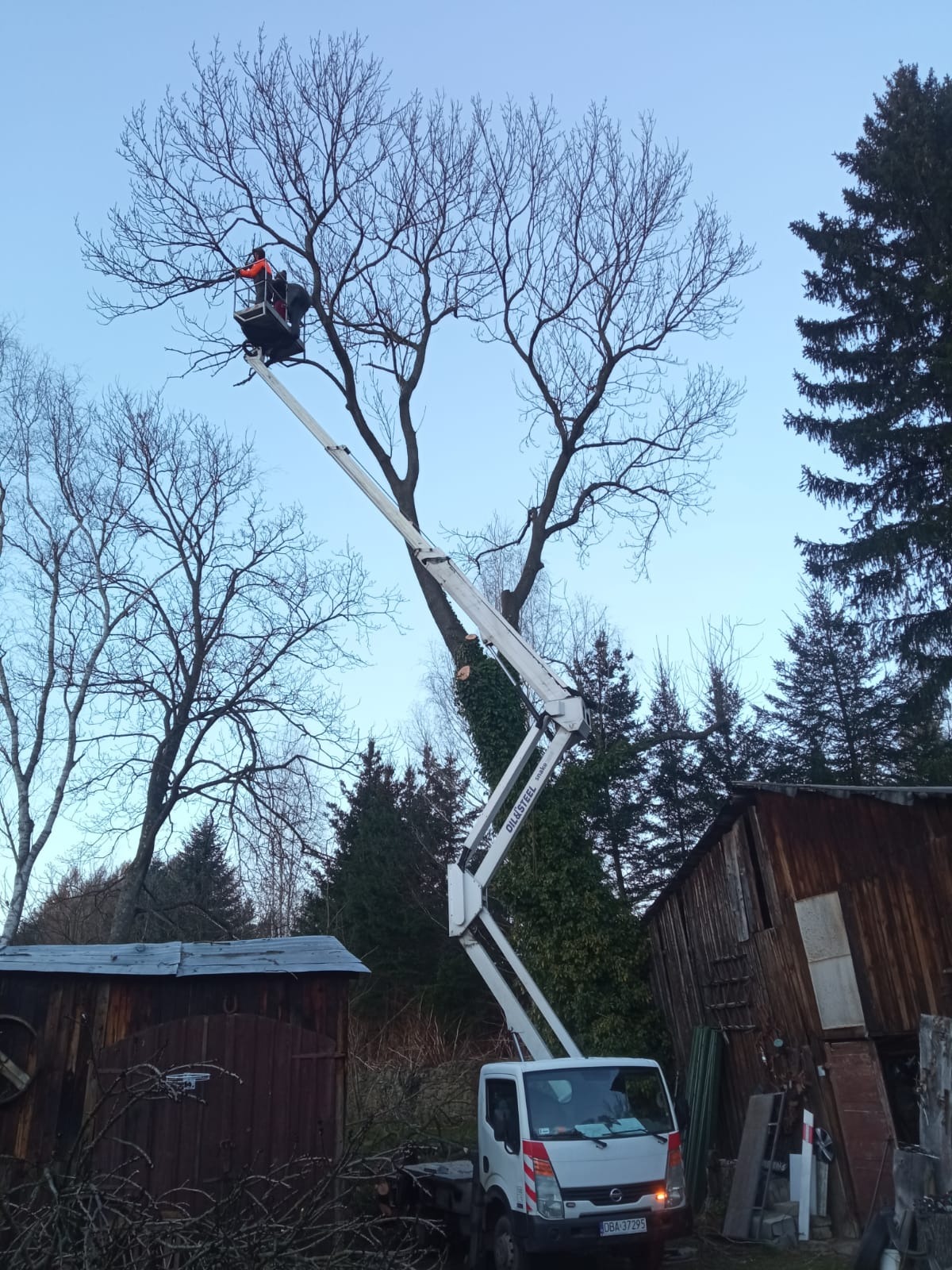 Pracownik w pomarańczowej kurtce na podnośniku koszowym przycina gałęzie wysokiego, bezlistnego drzewa w pochmurny dzień. W tle widać drewniane budynki gospodarcze i iglaste drzewa.