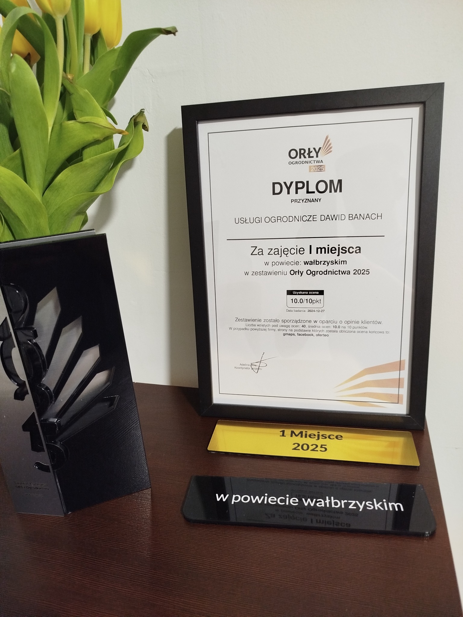 Dyplom dla Usług Ogrodniczych Dawid Banach za zajęcie I miejsca w powiecie wałbrzyskim w zestawieniu Orły Ogrodnictwa 2025, obok wazon z żółtymi tulipanami i statuetka z napisem '1 Miejsce'...