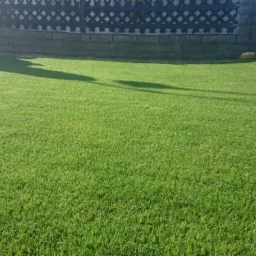 profesjonalna pielęgnacja trawnika