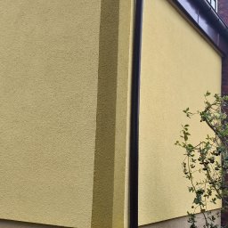 ADEXBUD Usługi Remontowo-Budowlane - Żółta elewacja domu z oknem i dekoracyjnym pasem. Widoczny komin z cegły, rynna i krzew z owocami. Tekstura tynku barankowego. Ujęcie z dołu, lekko z boku.