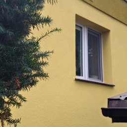 ADEXBUD Usługi Remontowo-Budowlane - Żółta elewacja domu z białym oknem, częściowo zasłonięta przez ciemnozielony krzew iglasty. Widoczny fragment dachu z rynną. Ujęcie z dołu, pochmurne niebo.