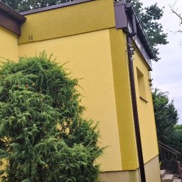ADEXBUD Usługi Remontowo-Budowlane - Żółta elewacja domu z brązowymi rynnami i zielonymi krzewami. Widoczny fragment okna, oświetlenie zewnętrzne i elementy ogrodu. Tekstura elewacji lekko chropowata.