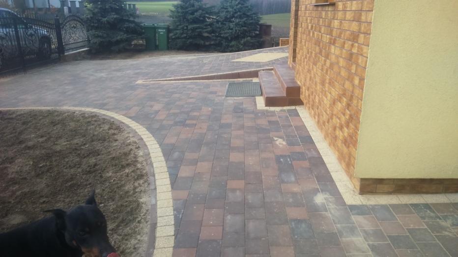 Ułożona z kostki brukowej ścieżka prowadząca do domu z widocznymi schodami i rampą, obok trawnika z psem rasy doberman w lewym dolnym rogu.