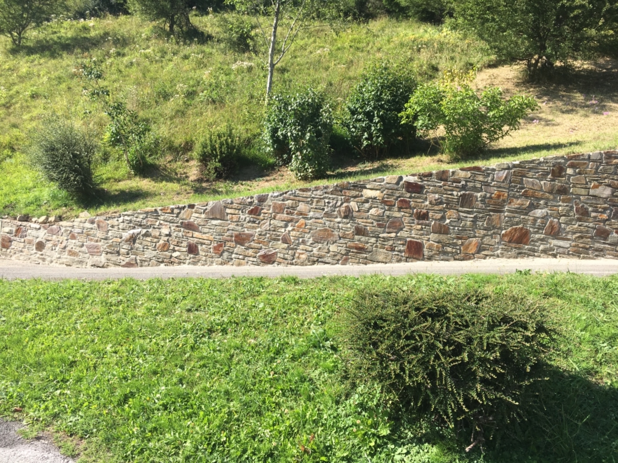 Kamienny murek oporowy na zboczu, oddzielający trawnik od zieleni na wyższym poziomie.