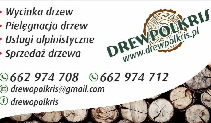 Wizytówka firmy oferującej wycinkę, pielęgnację drzew, usługi alpinistyczne i sprzedaż drewna, z logo i danymi kontaktowymi na tle ułożonych pni drzew.