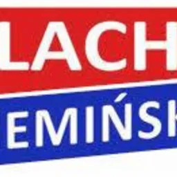 Logo firmy Blachy Ziemiński na czerwonym i niebieskim tle.