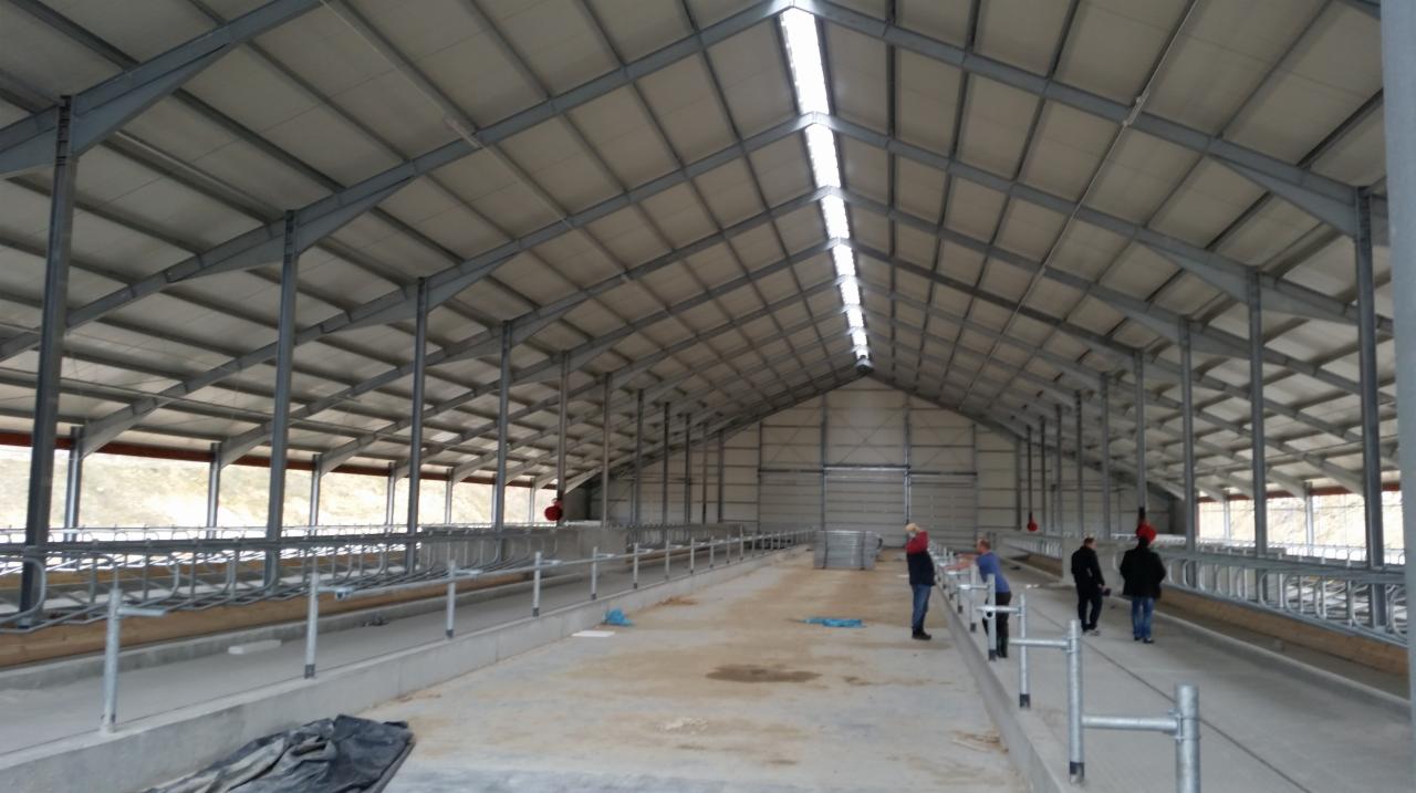 Wnętrze hali stalowej z płyt warstwowych w Janowie Lubelskim, widoczne elementy konstrukcyjne i oświetlenie, kilku pracowników na podłodze.