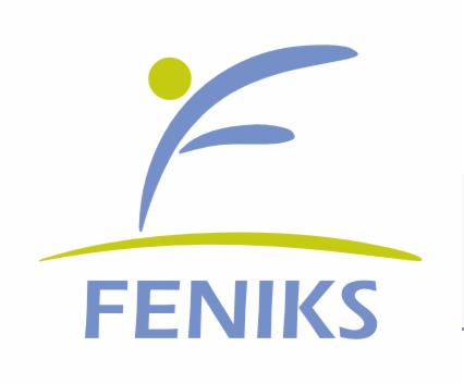 Logo firmy 'FENIKS' z abstrakcyjną sylwetką osoby w ruchu, z elementami w kolorach niebieskim i zielonym, na białym tle.