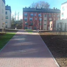 Nowe osiedle mieszkaniowe z chodnikiem z czerwonej kostki brukowej, trawnikami i świeżo posadzonymi drzewkami w metalowych osłonach.