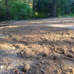 Przygotowany teren pod trawnik: wyrównana ziemia z widocznymi śladami stóp i kamieniami, otoczona zielenią drzew, w słoneczny dzień.