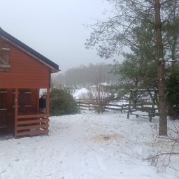 Firma Usługowa Pucuś Adriana Draźba - Zakładanie trawnik&oacute;w Kościerzyna