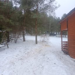 Firma Usługowa Pucuś Adriana Draźba - Usługi w ogrodzie Kościerzyna