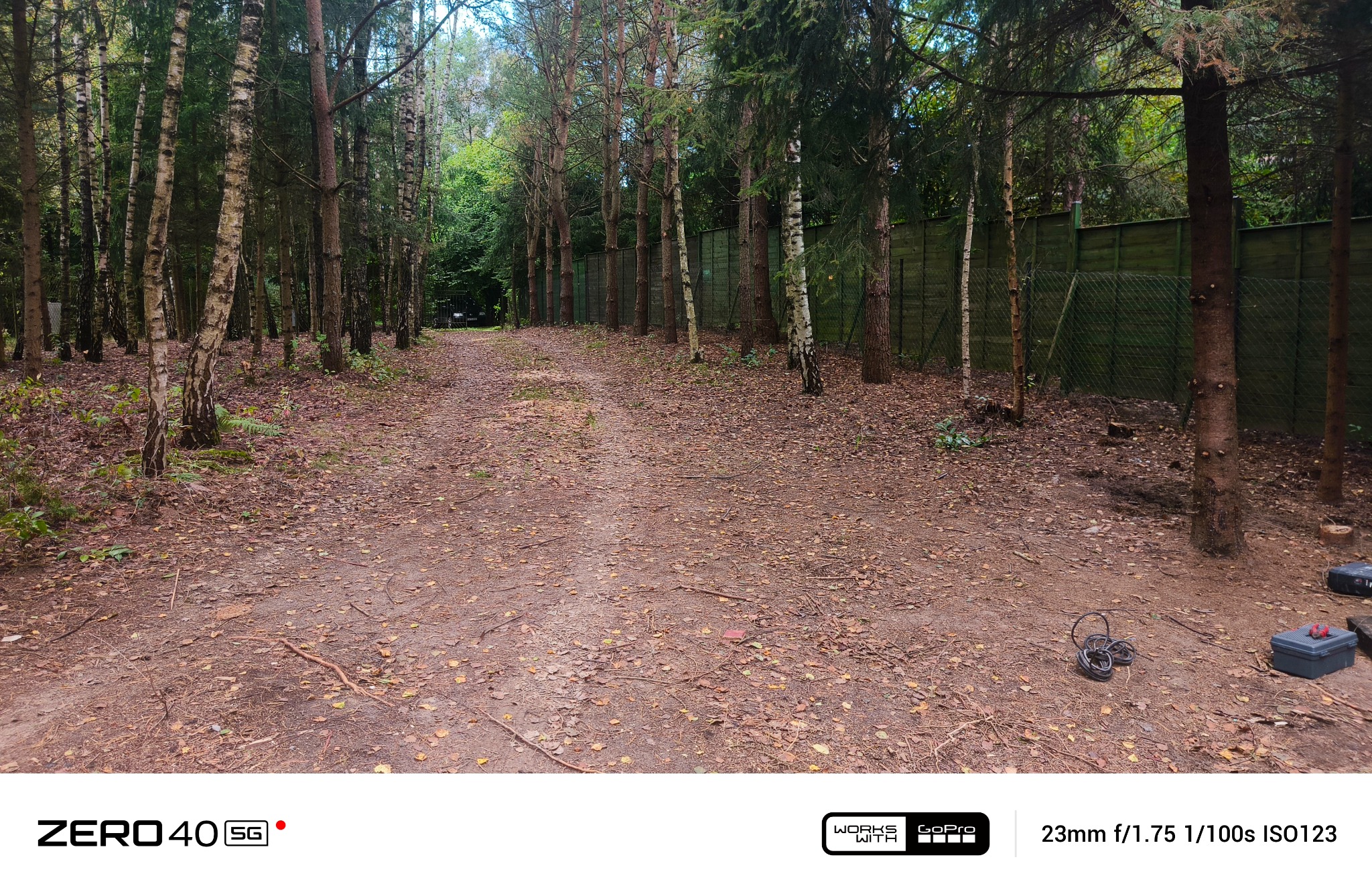 Leśna ścieżka z brązową ziemią, otoczona drzewami i zielonym ogrodzeniem. Na ziemi leżą liście i gałęzie. Widoczne narzędzia w prawym dolnym rogu.