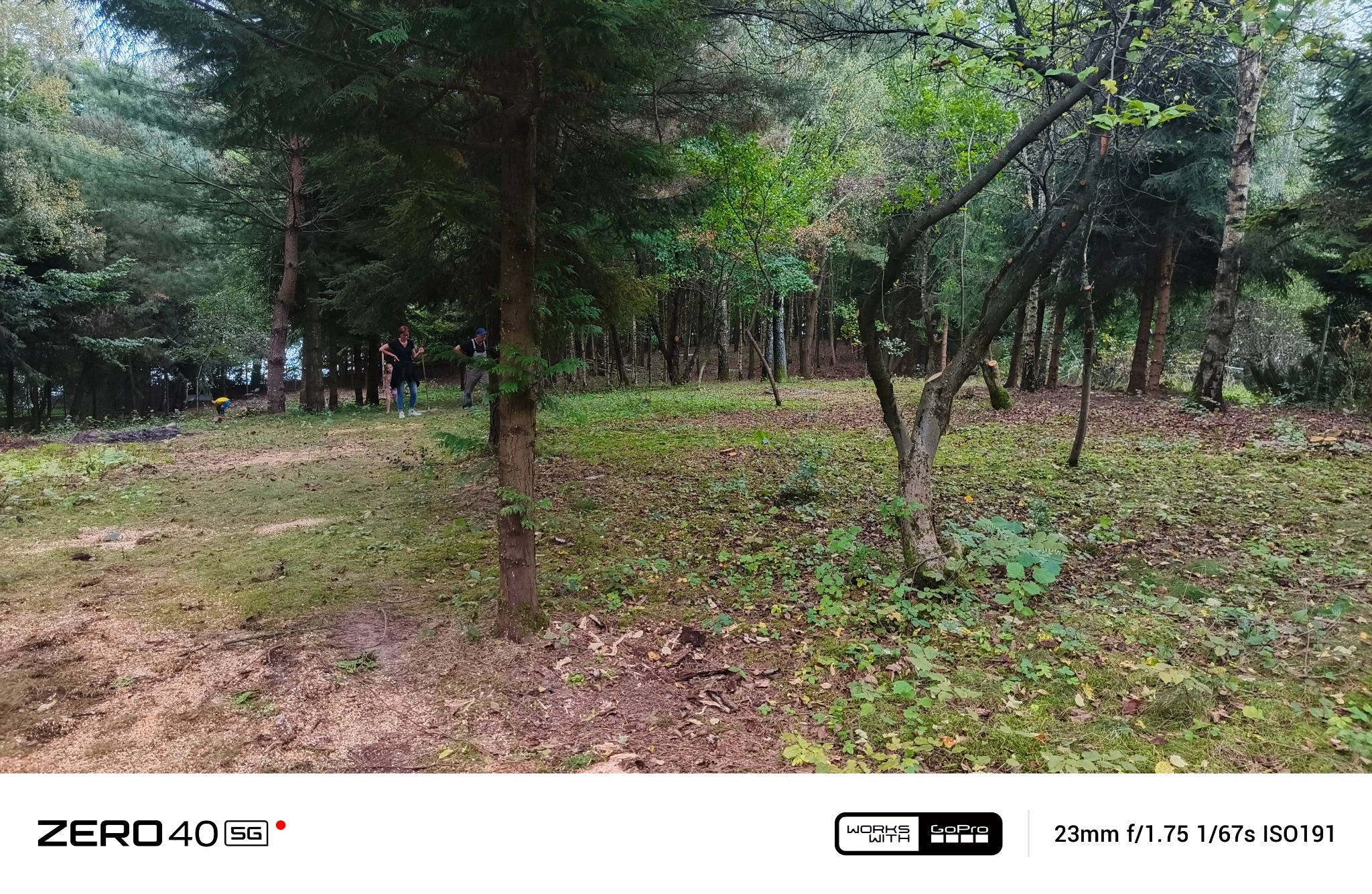 Leśna polana po wycince drzew, z widocznymi pniami i osobami pracującymi w tle. Świeże ślady po pracach leśnych.