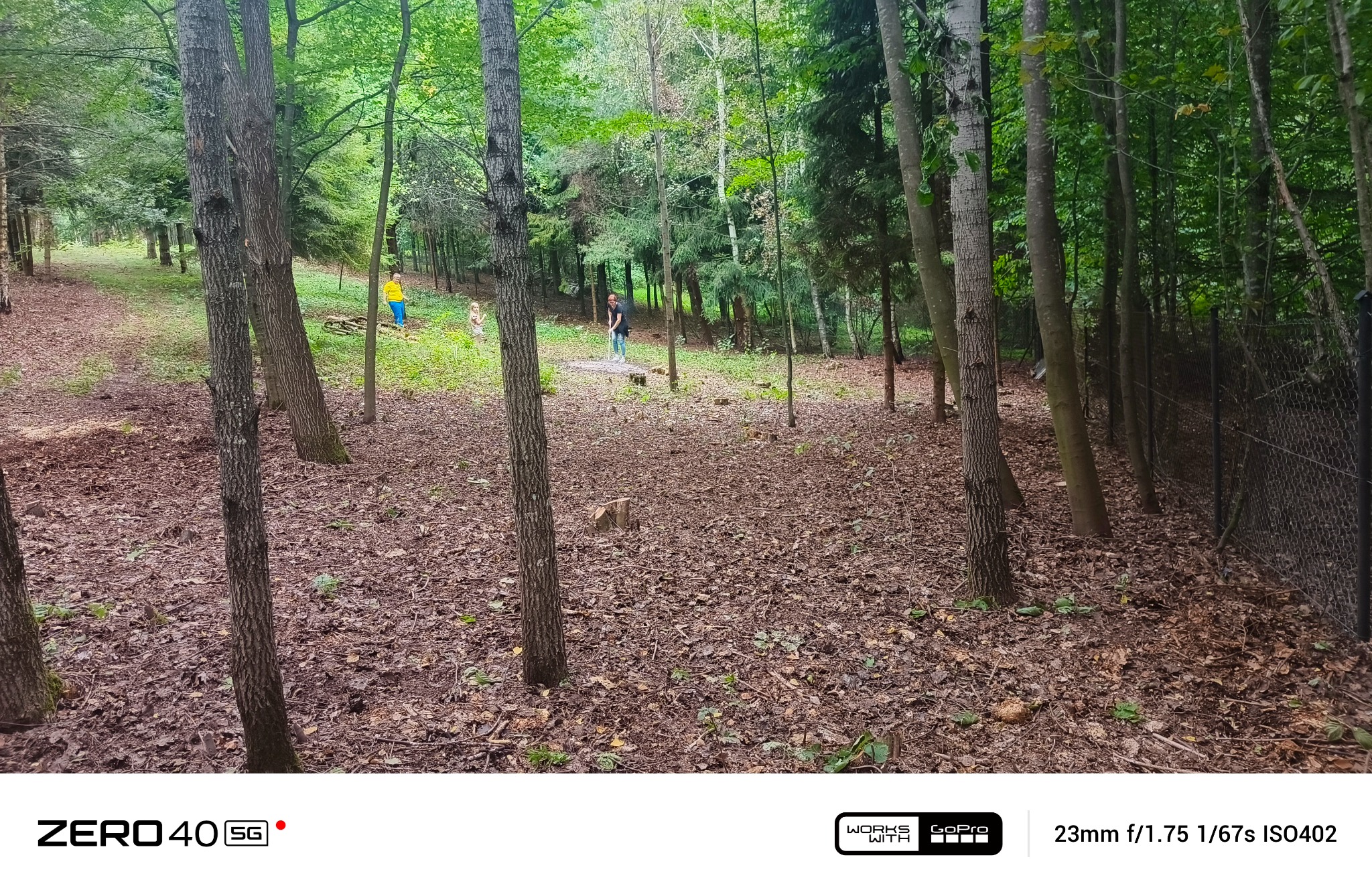 Leśny krajobraz z powalonymi pniami drzew, liśćmi i dwiema osobami w oddali, jedna z narzędziem, sugerujący prace porządkowe lub wycinkę w lesie.