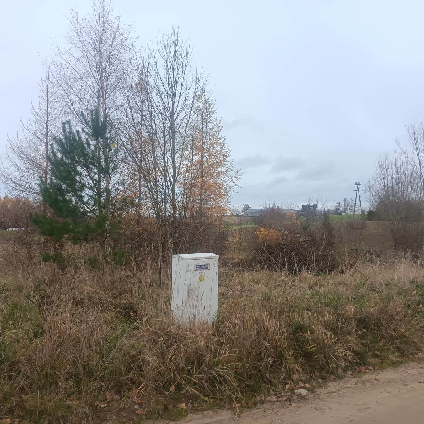 Zarośnięta trawa wokół skrzynki elektrycznej na tle jesiennego krajobrazu z drzewami bez liści i pochmurnym niebem. Widoczny słup wysokiego napięcia w oddali.