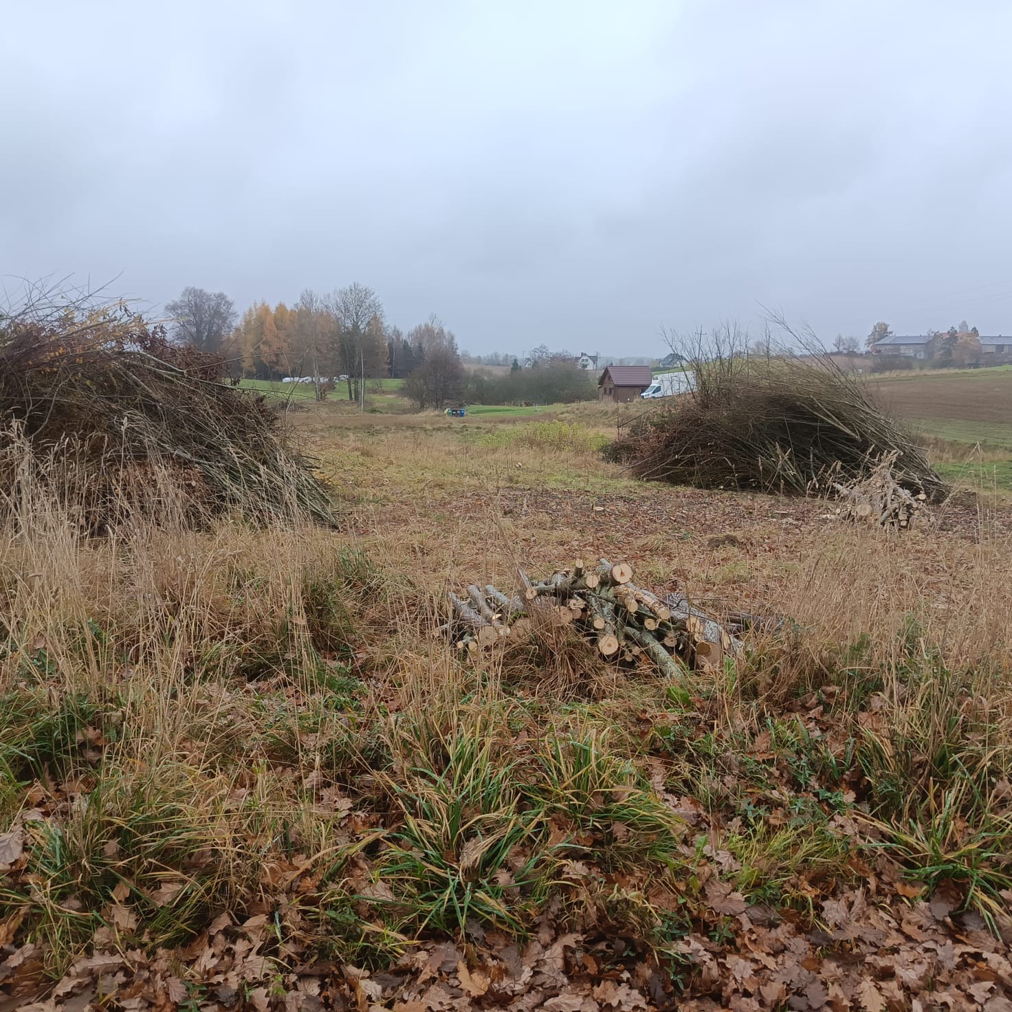 Stosy gałęzi i pociętych pni drzew na zarośniętym polu w pochmurny dzień. W tle zabudowania wiejskie i drzewa bez liści. Widoczne liście na ziemi.