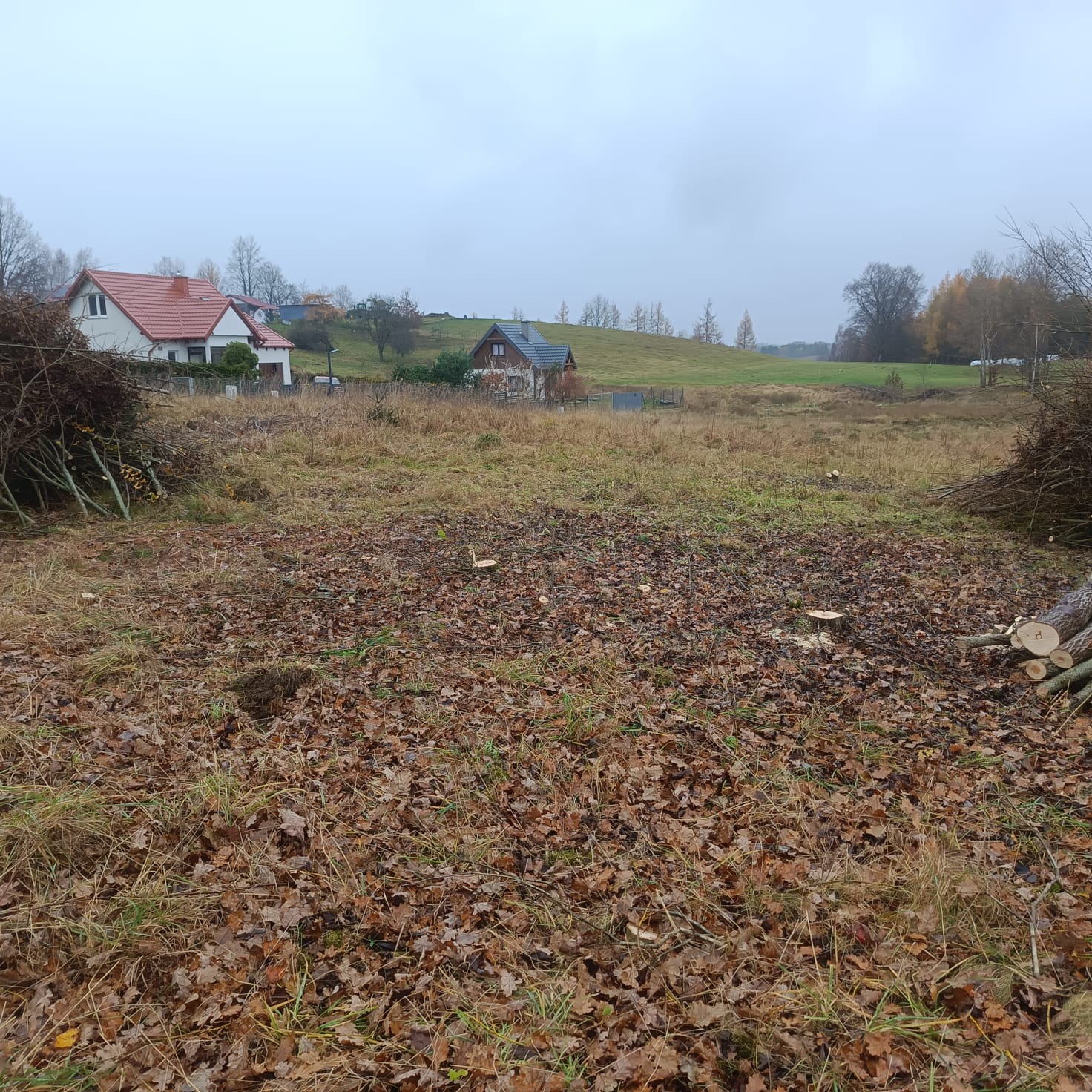 Teren po wycince drzew: pnie, gałęzie, liście. W tle domy i wzgórze pod pochmurnym niebem. Widok na działkę po usunięciu drzew.