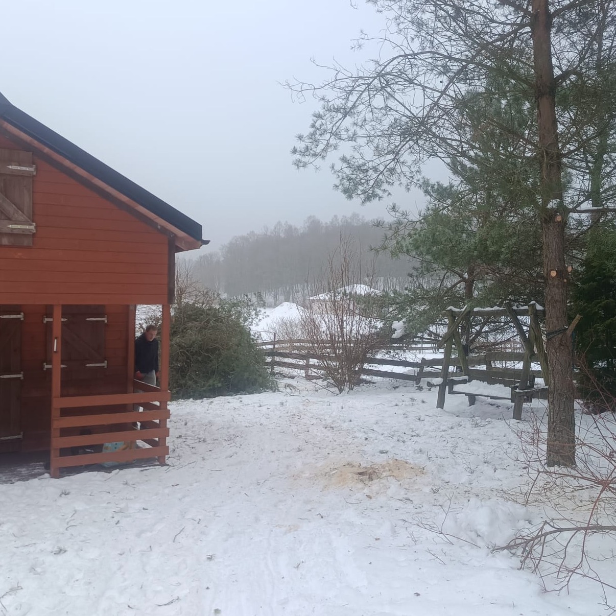 Zimowy krajobraz po wycince drzew: drewniany budynek gospodarczy, ścięte gałęzie, zasypane śniegiem podwórko i huśtawka na tle zamglonego lasu.