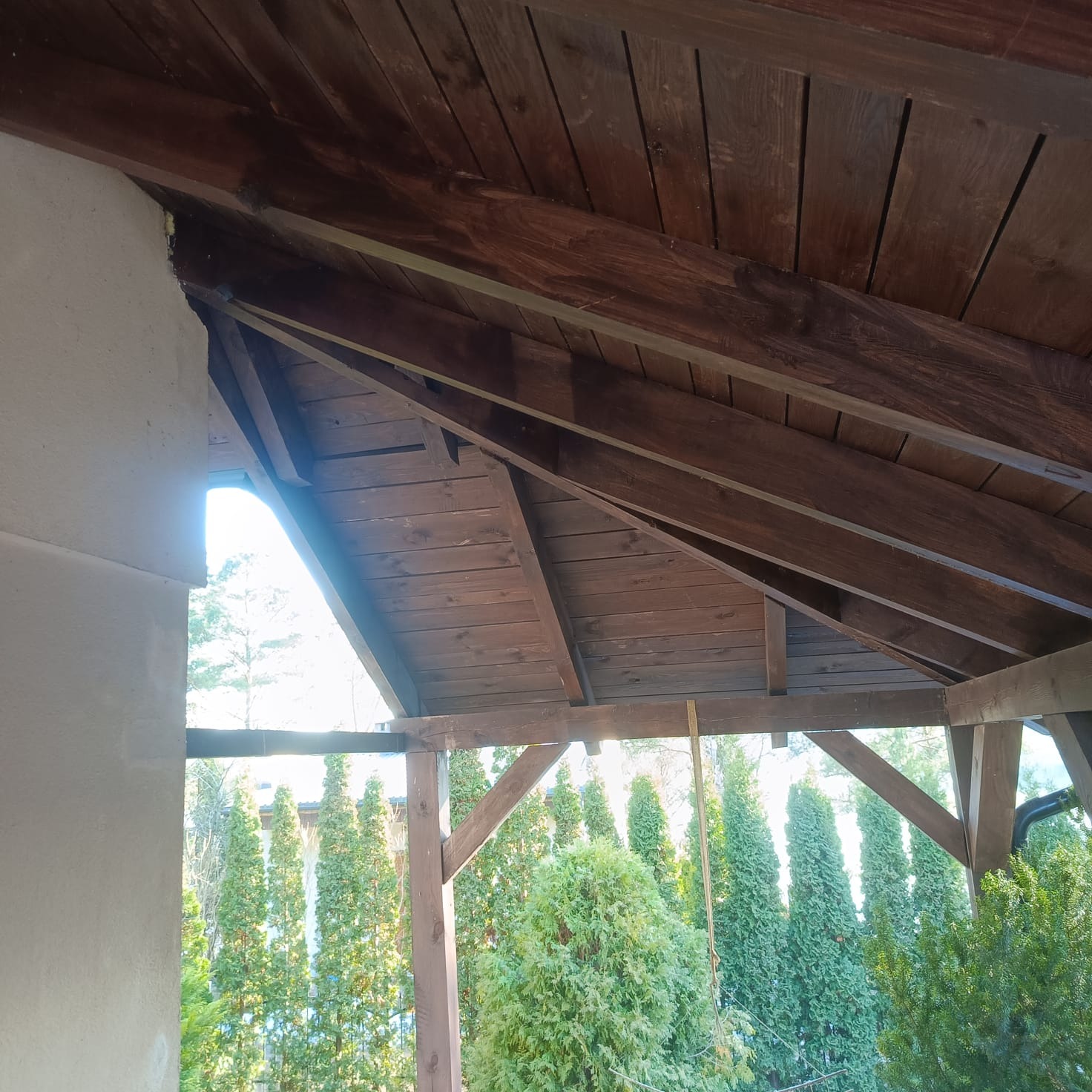 Drewniana konstrukcja zadaszenia tarasu z widokiem na ogród z tujami. Ściana budynku z szarą elewacją. Ujęcie od dołu, podkreślające detale konstrukcyjne.