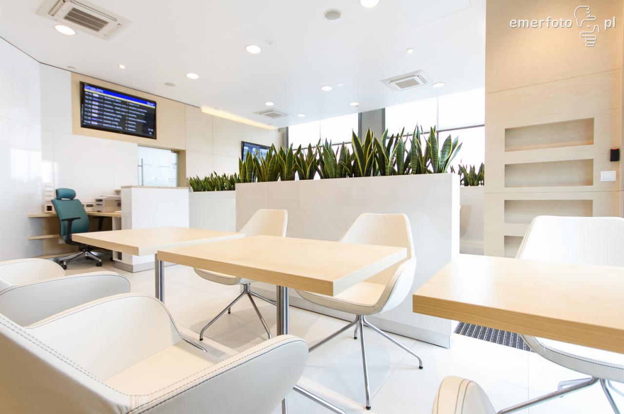Jasne, nowoczesne wnętrze biurowe z drewnianymi stołami, białymi krzesłami i roślinami doniczkowymi wzdłuż ściany, widoczny ekran z informacjami o lotach.