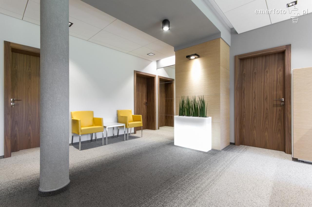 Jasne wnętrze biura z żółtymi fotelami, szarym dywanem, drewnianymi drzwiami i oświetloną donicą z roślinami.