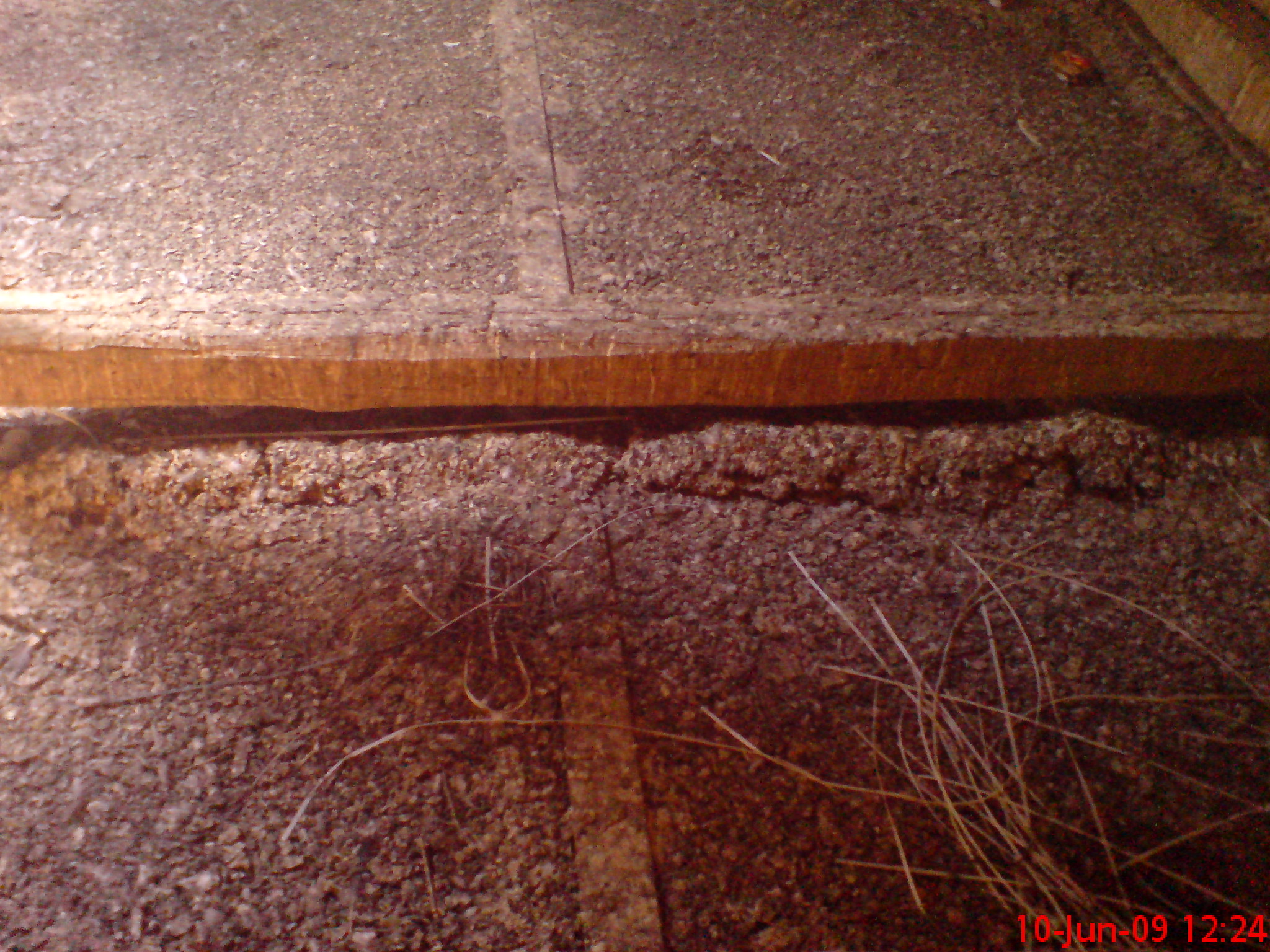 Antypak, Anty-Ptak, Odstraszacze na Ptaki, Czyszczenie Srychów, Stropodachów Itp.