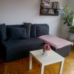 Uporządkowany pokój dzienny z szarą sofą, białym stolikiem kawowym z różowymi kwiatami i drewnianą podłogą w jodełkę, półka z książkami i zdjęciami na ścianie.