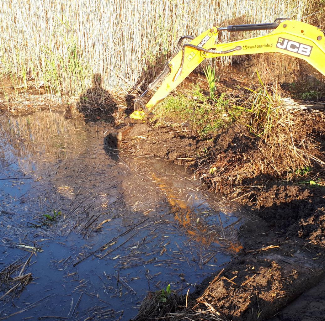 Żółta minikoparka JCB w trakcie prac ziemnych przy brzegu zbiornika wodnego z trzcinami, odbicie maszyny w wodzie.