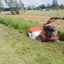 Czerwona kosiarka bijakowa w trakcie pracy na łące, widoczne ślady rozdrobnionej trawy i wysoka trawa po lewej stronie, w tle domy i drzewa.