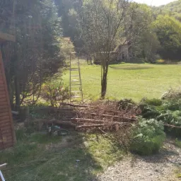 Wycinkę drzew,krzewów razem z uprzątnięciem korzeni...