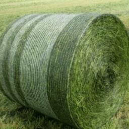 Siatka rolnicza Tama Marathon 2800m i 4200m