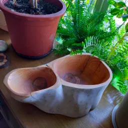 Ręcznie wykonana, dwukomorowa misa z jasnego drewna, ustawiona na drewnianym blacie, z roślinami doniczkowymi w tle.