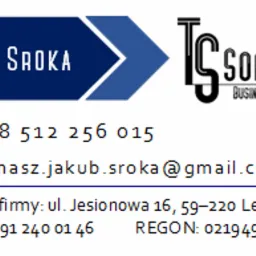 Wizytówka firmy IT: Tomasz Sroka Software Business Intelligence, dane kontaktowe, adres siedziby i numery NIP oraz REGON.