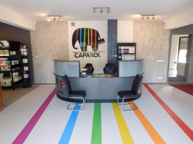 Wnętrze sklepu budowlanego z ladą recepcyjną, logo firmy z motywem słonia w tęczowych barwach i podłogą z kolorowymi pasami.