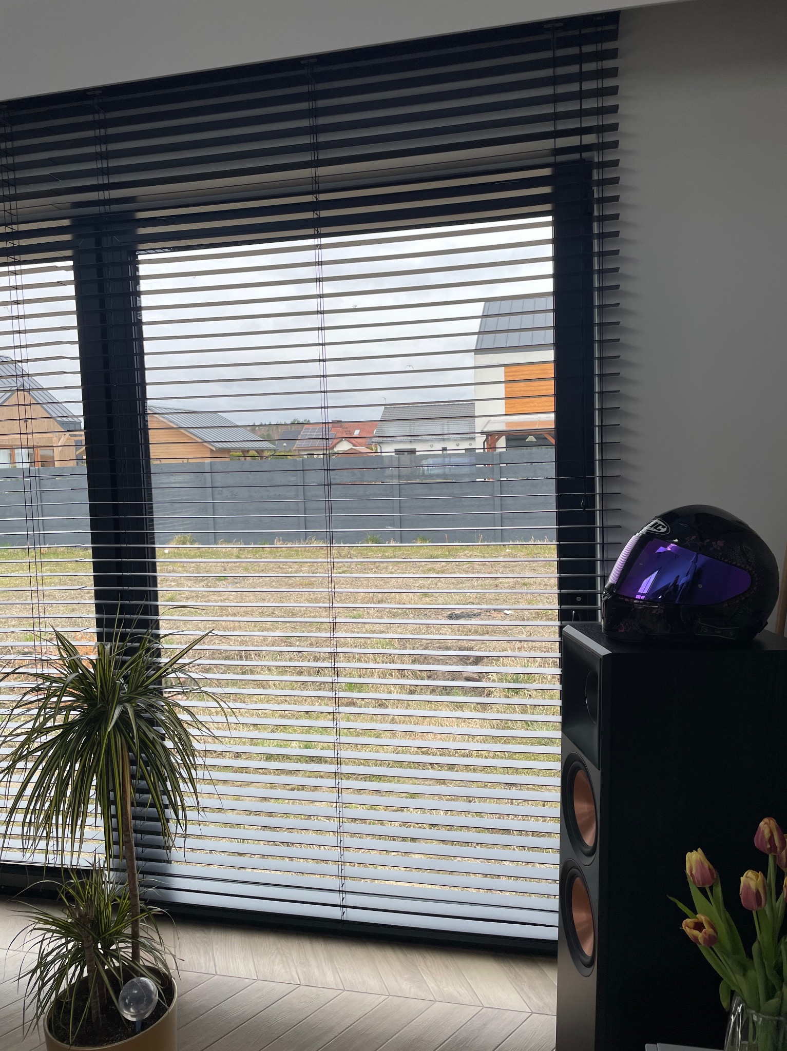 Ciemne żaluzje poziome w oknie z widokiem na domy i pole. Na pierwszym planie roślina doniczkowa, głośnik i kask motocyklowy. Ustawienie żaluzji reguluje dopływ światła.