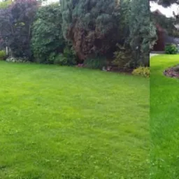 Rozległy, zadbany trawnik z ozdobnymi nasadzeniami drzew i krzewów, widok z poziomu gruntu, kostka brukowa w lewym dolnym rogu.