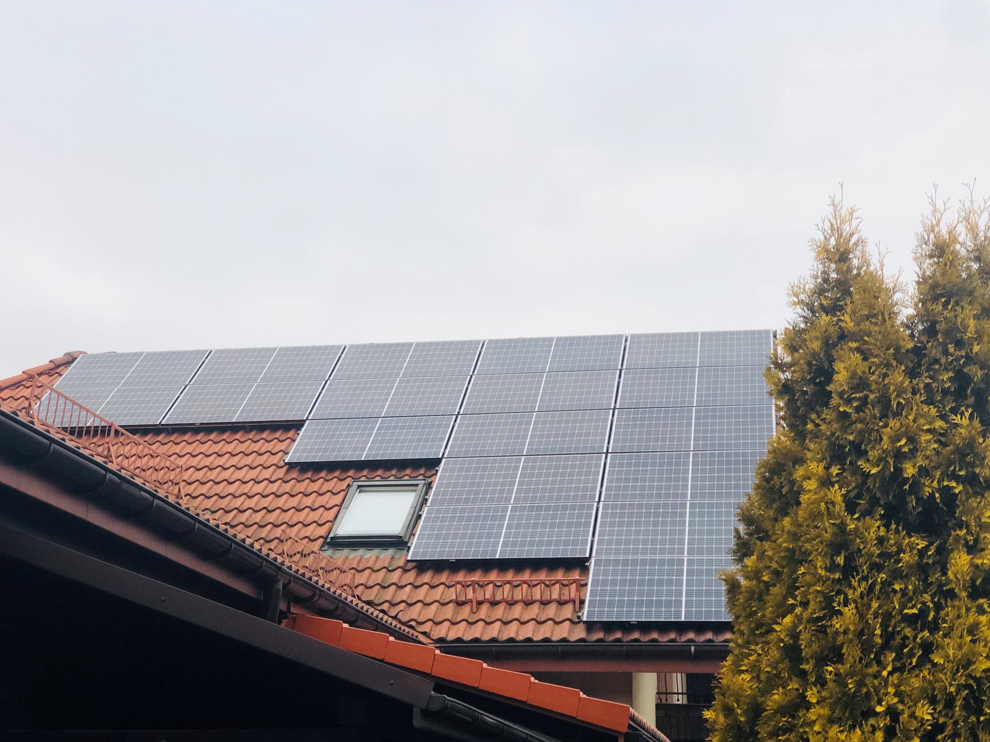 Panele słoneczne na czerwonym dachu domu jednorodzinnego z oknem dachowym, widok z dołu, obok zielone drzewo iglaste.