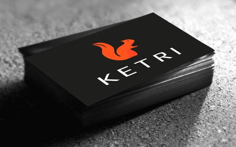 Wizytówki pokryte folią matową dla firmy KETRI